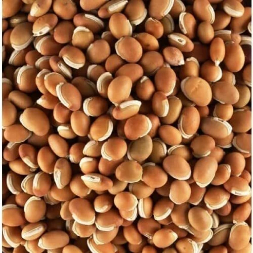 Mochai Paruppu