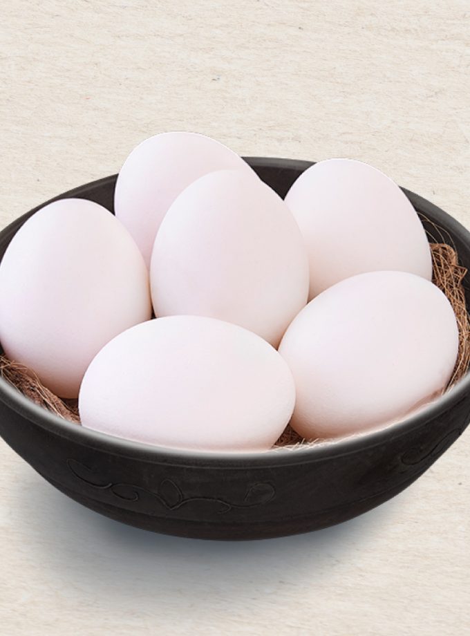 Egg