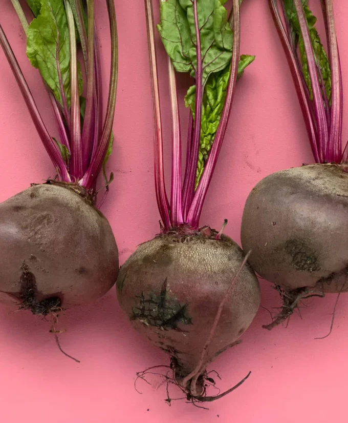 Beetroot