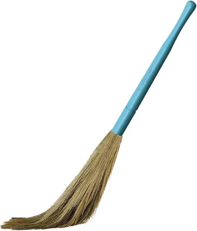 Zoom Broom