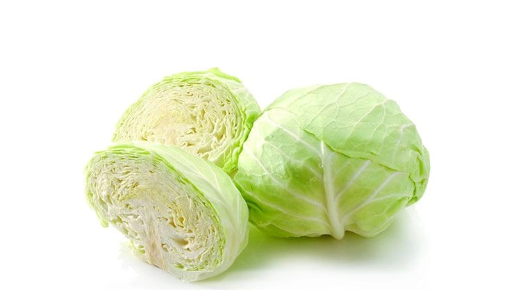 Cabbage